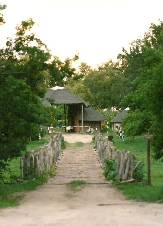 Billos Safari Zimbabwe Z10a01