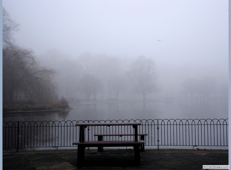 Hyde Park gets Foggy in a winter (not) wonderland