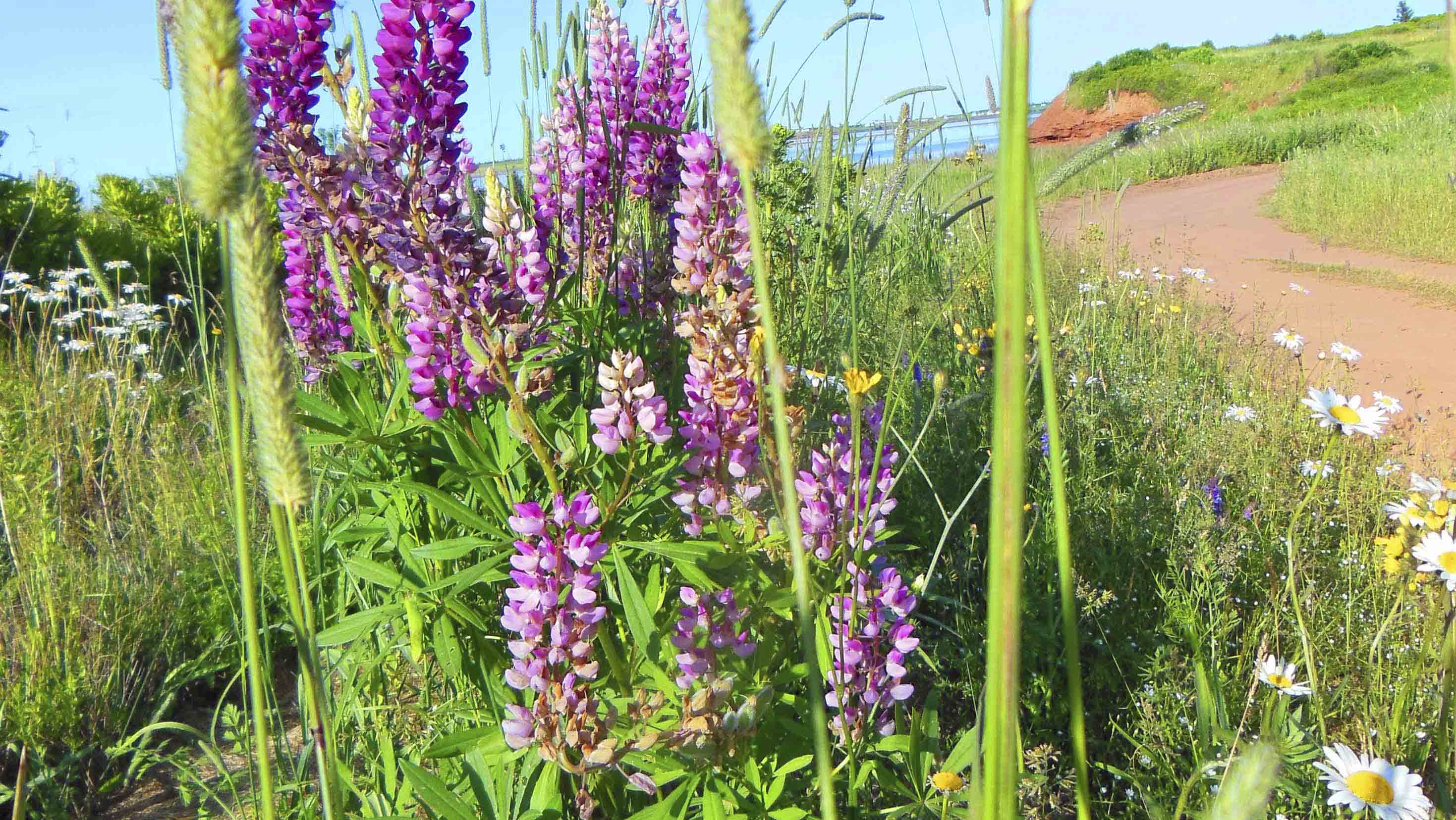 Prince Edward Island 2012